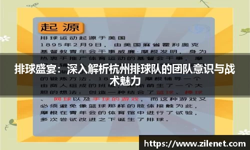 排球盛宴：深入解析杭州排球队的团队意识与战术魅力